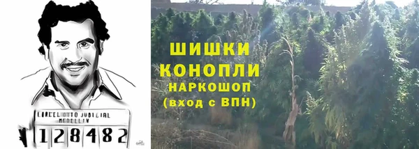 амф Магас