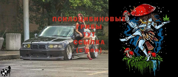 твердый Абинск