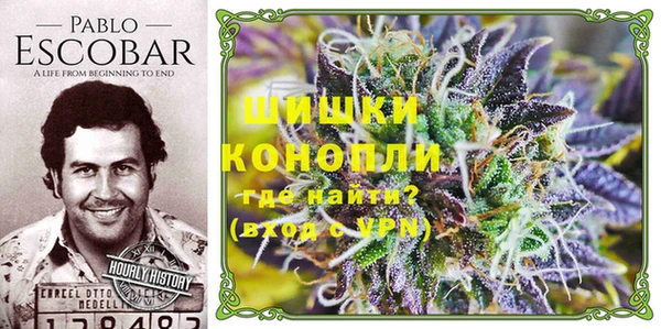 индика Магадан