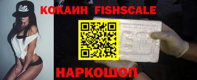 дмт Кингисепп