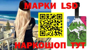 дмт Кингисепп