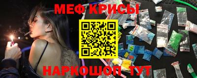 дмт Кингисепп