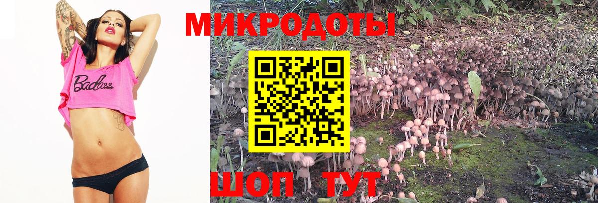 Кисловодск  Галлюциногенные грибы мицелий  Вход с VPN 