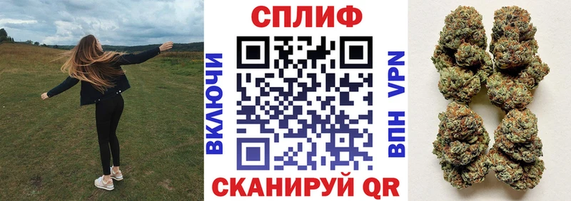 мориарти телеграм  Кисловодск  Конопля тримм 